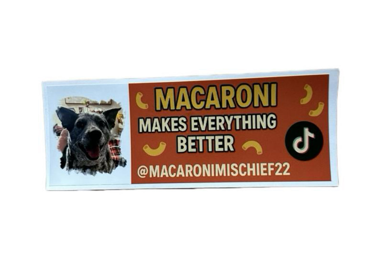 Macaroni bumper sticker